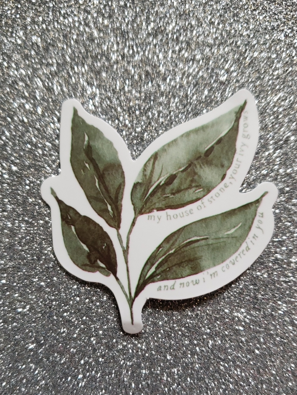 10/$10 Taylor Swift EVERMORE Waterproof Sticker
